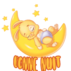 bonne nuit lapin et lune